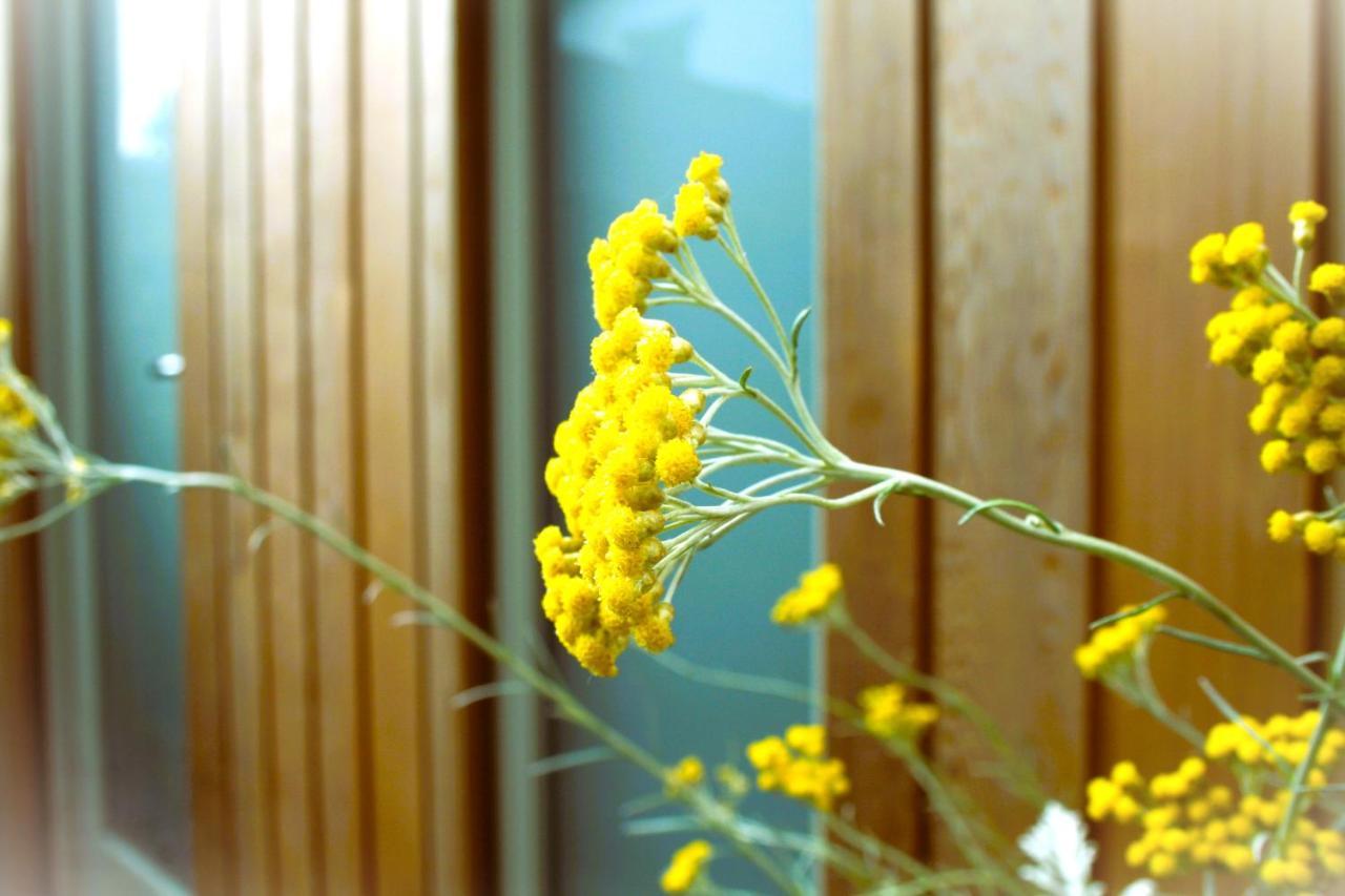 فندق The Coach House ويندرمير المظهر الخارجي الصورة